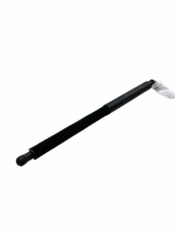 Tailgate/trunk strut/damper 7497482