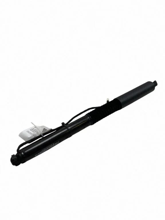 Tailgate/trunk strut/damper 9482795