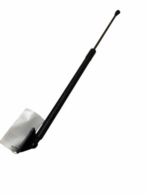 Tailgate/trunk strut/damper 5802A601