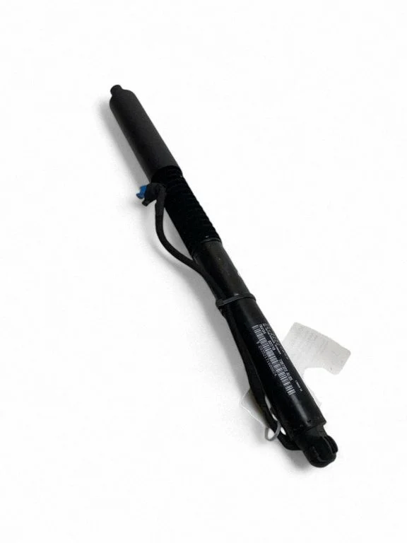 Tailgate/trunk strut/damper 7397322