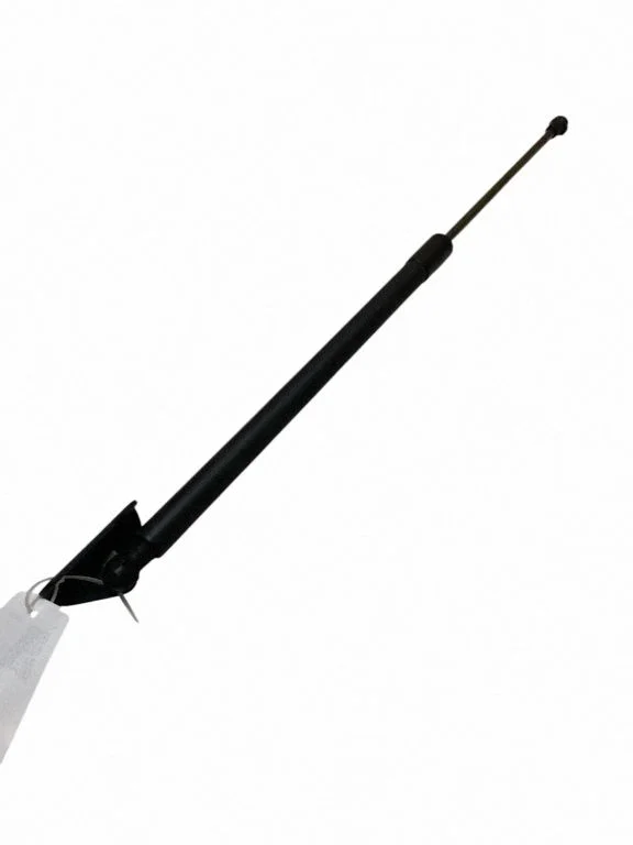 Tailgate/trunk strut/damper 5802A602