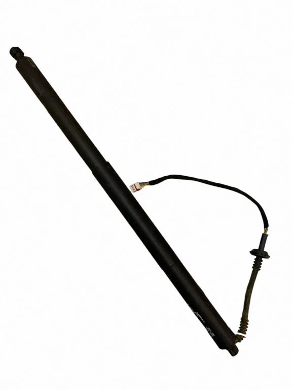 Tailgate/trunk strut/damper 81831CV100