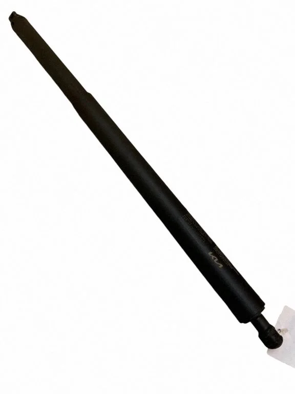 Tailgate/trunk strut/damper 81841CV100