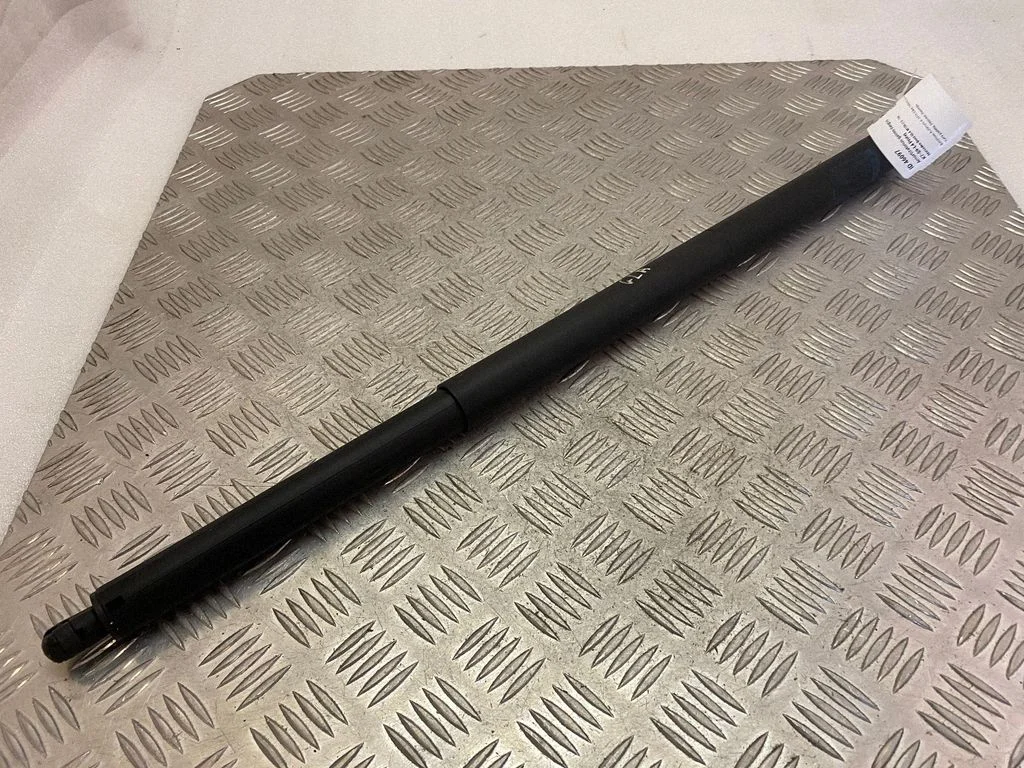 Tailgate/trunk strut/damper A1569800764