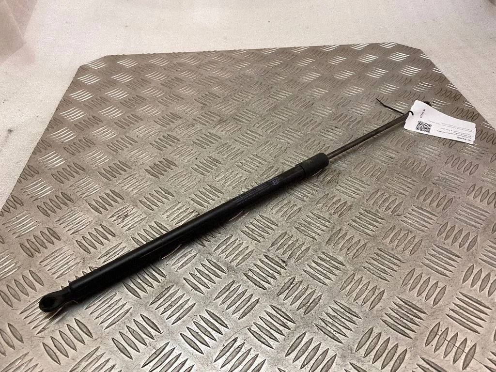 Tagaluugi gaasiamortisaator 81840N7000