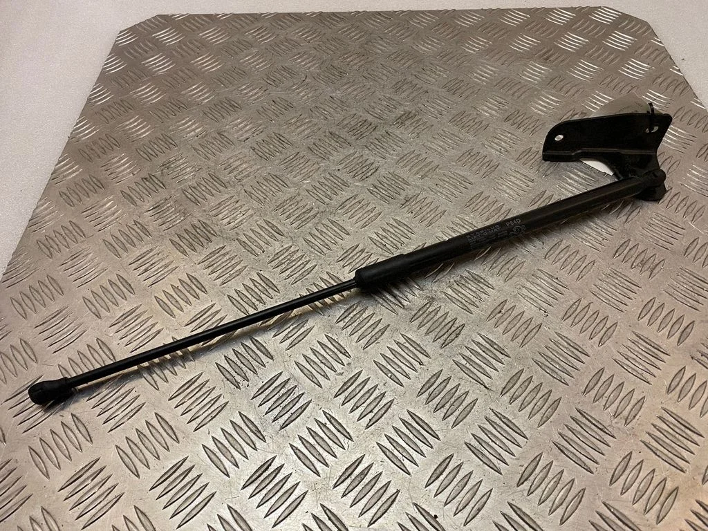 Tailgate/trunk strut/damper 9841148880