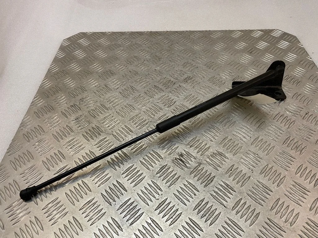 Tailgate/trunk strut/damper 9841149780
