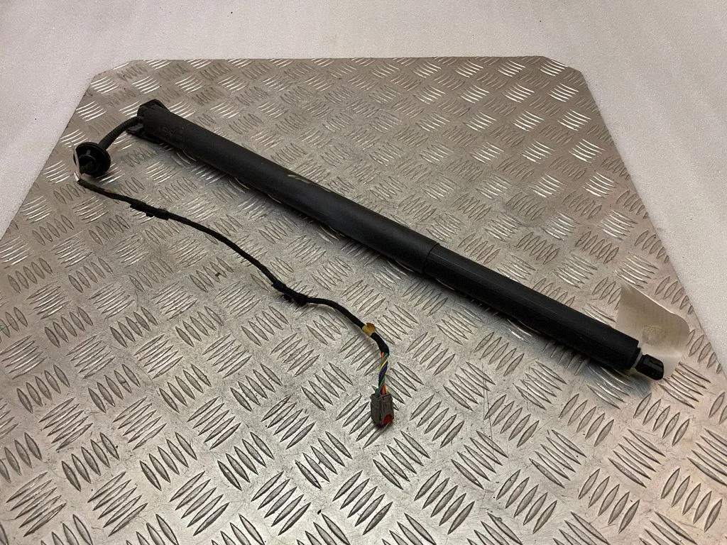 Tailgate/trunk strut/damper LV4BS402A55AB
