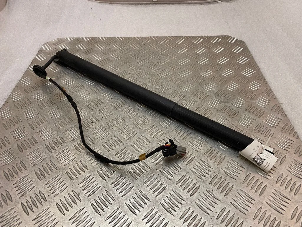 Tailgate/trunk strut/damper LV4BS402A54AB