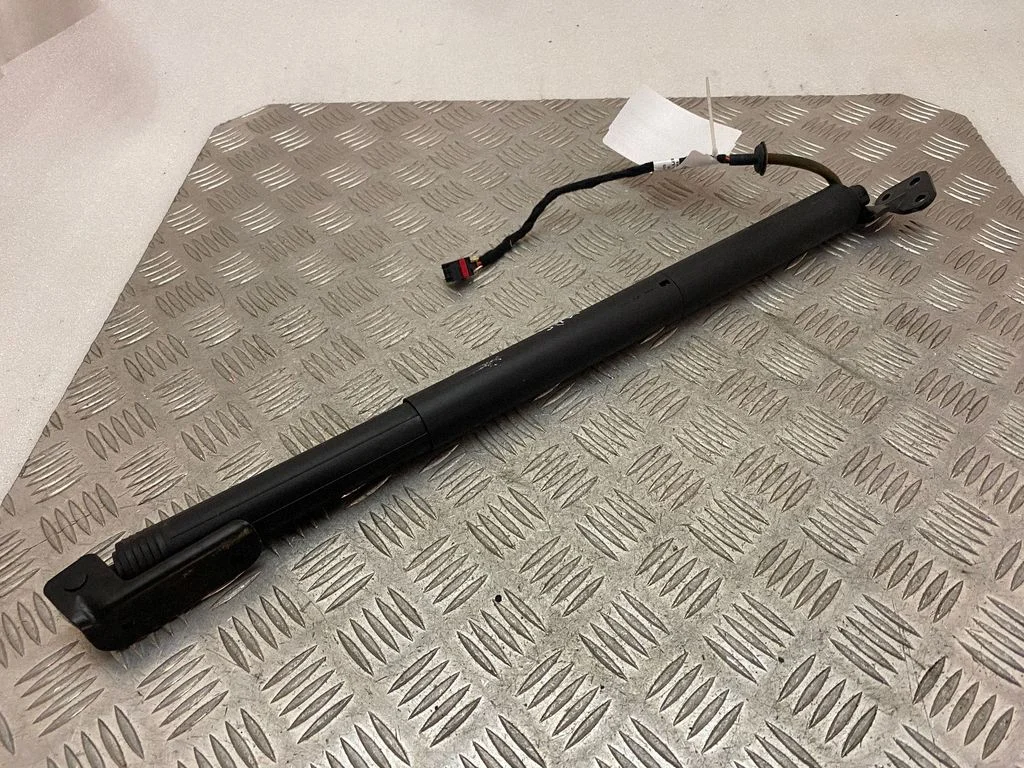 Tailgate/trunk strut/damper 95B827851C