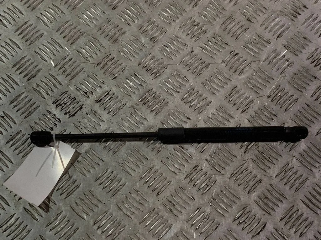 Tailgate/trunk strut/damper 7259763