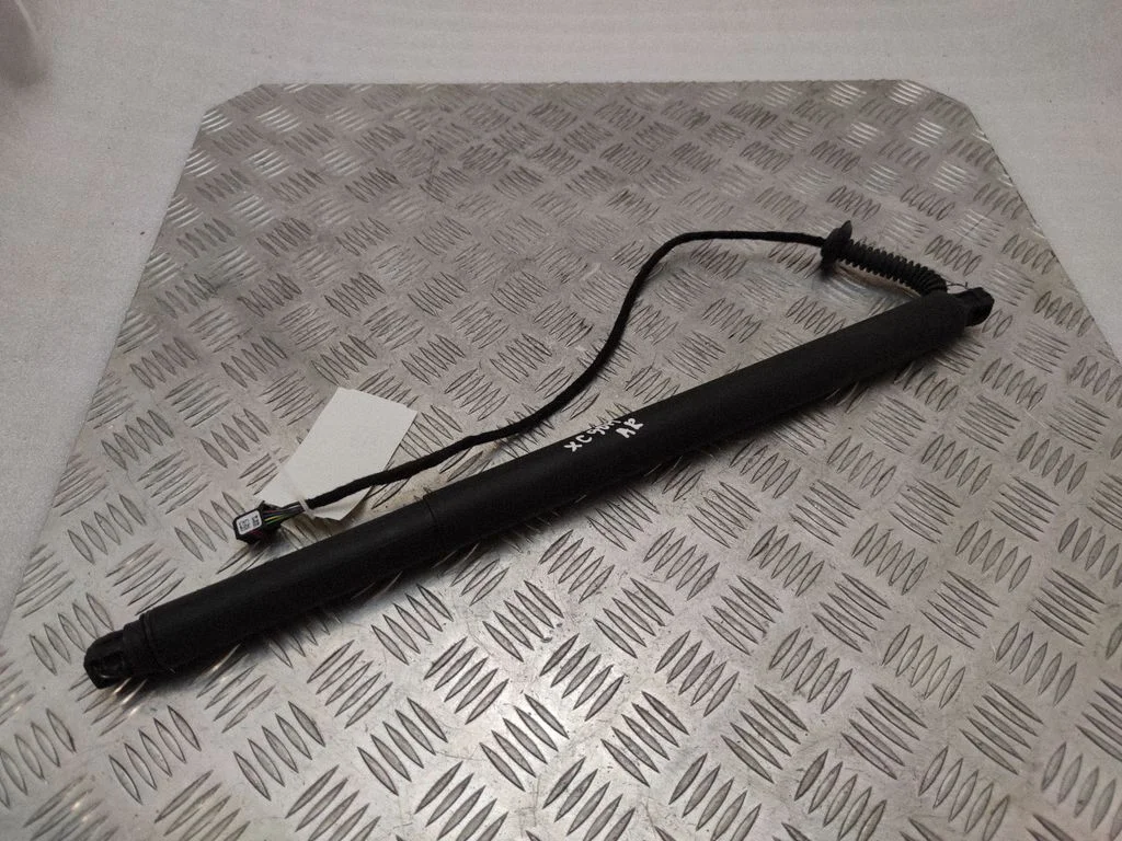 Tailgate/trunk strut/damper 31663099