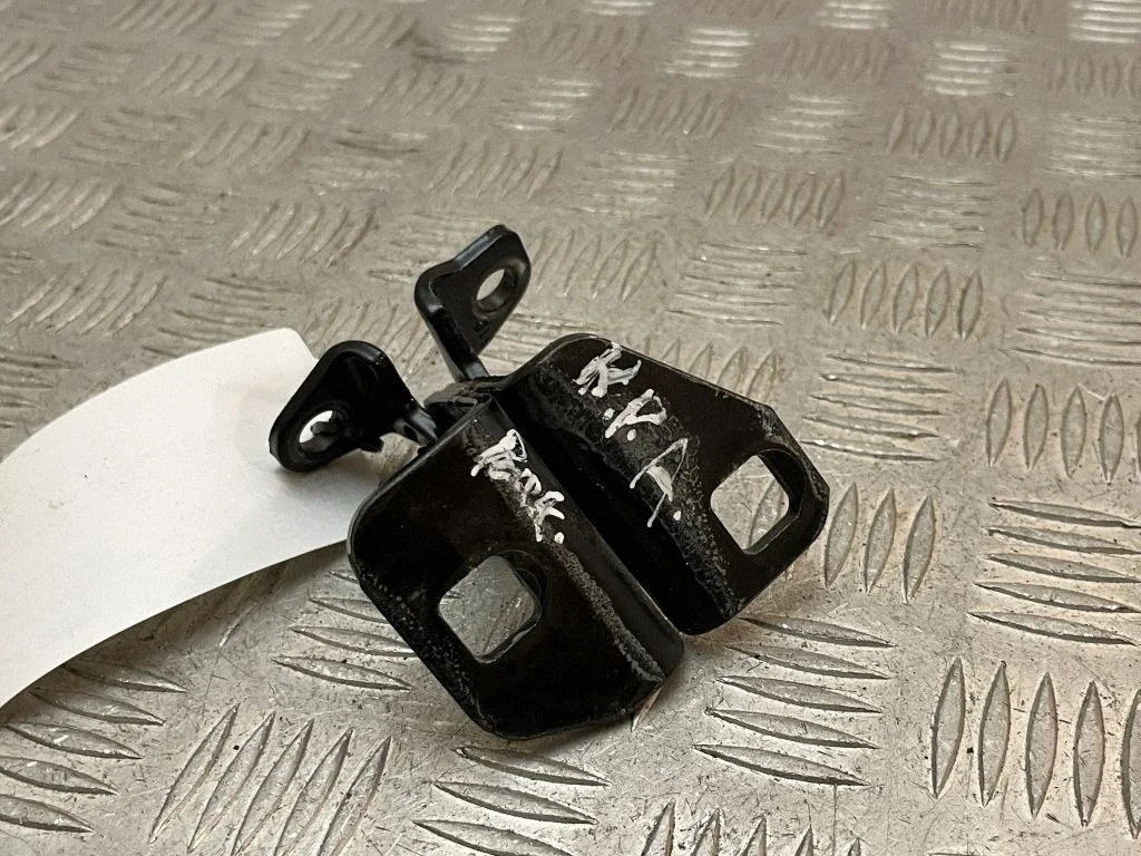 Front door lower hinge 955200E
