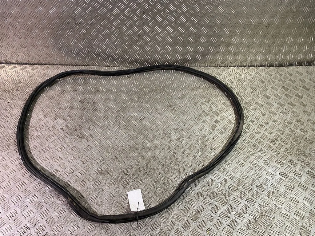 Priekšējo durvju blīvgumija (uz virsbūves) 82G831722