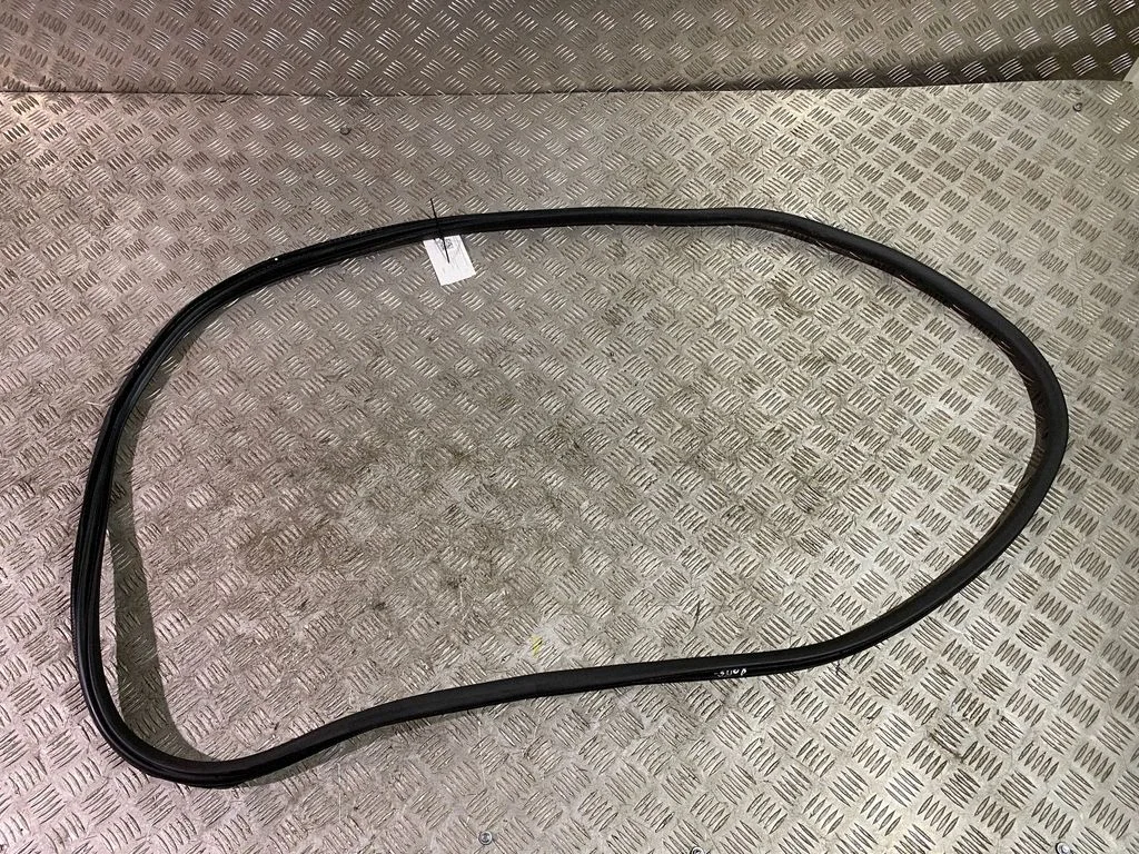 Front door rubber seal 9811537480