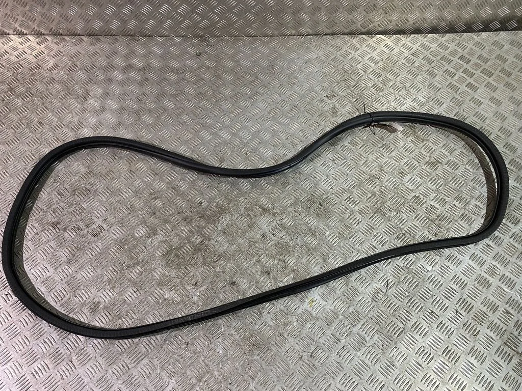 Front door rubber seal 9811537480