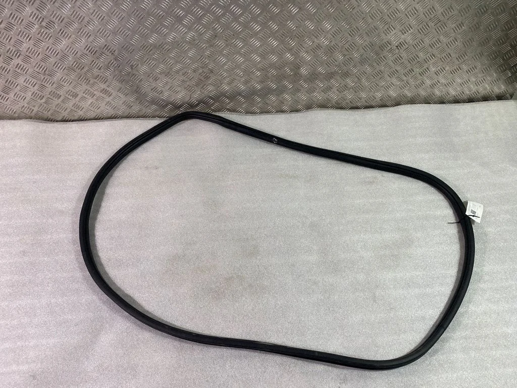 Front door rubber seal 55399256AE
