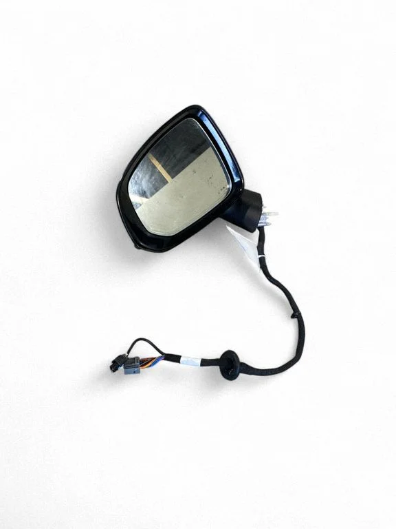 Front door electric wing mirror E1041347