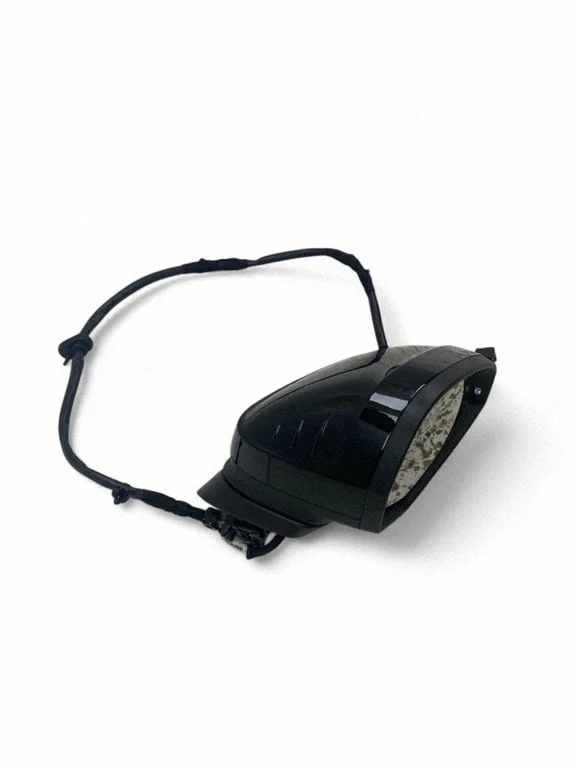 Front door electric wing mirror E1041409