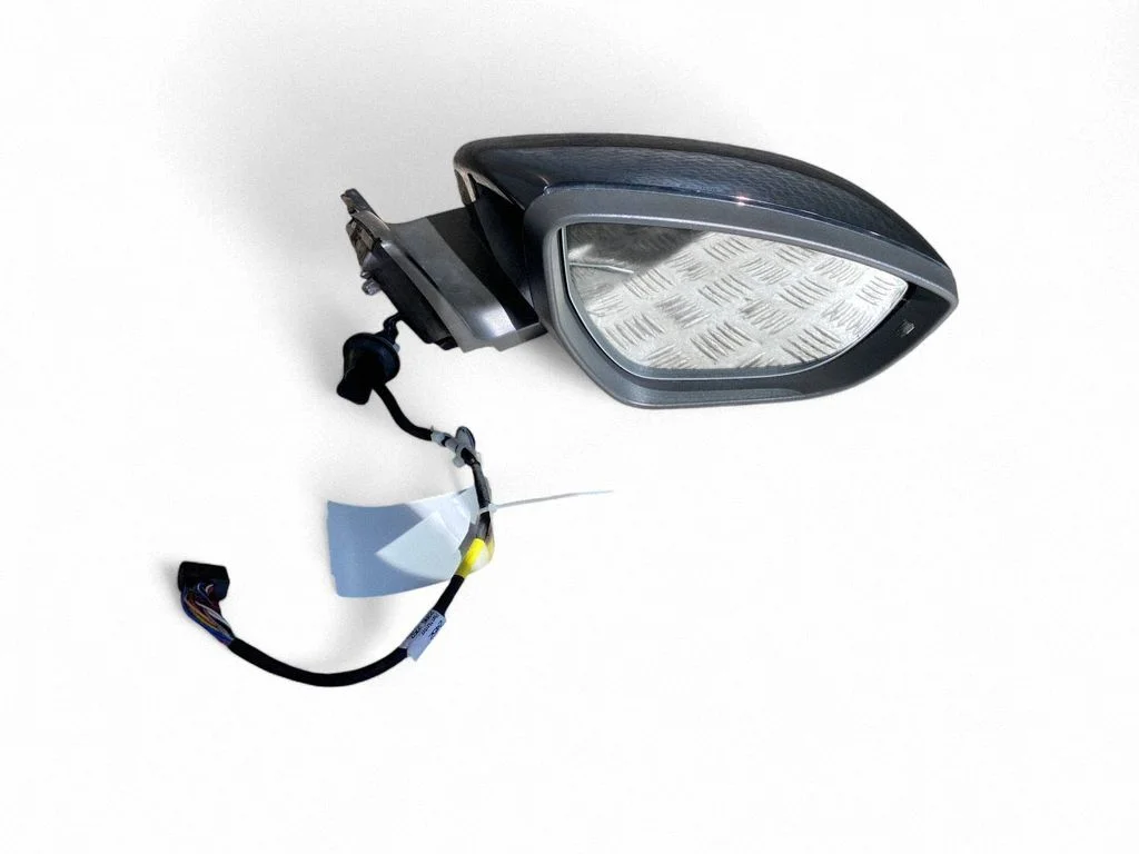 Front door electric wing mirror E1041589