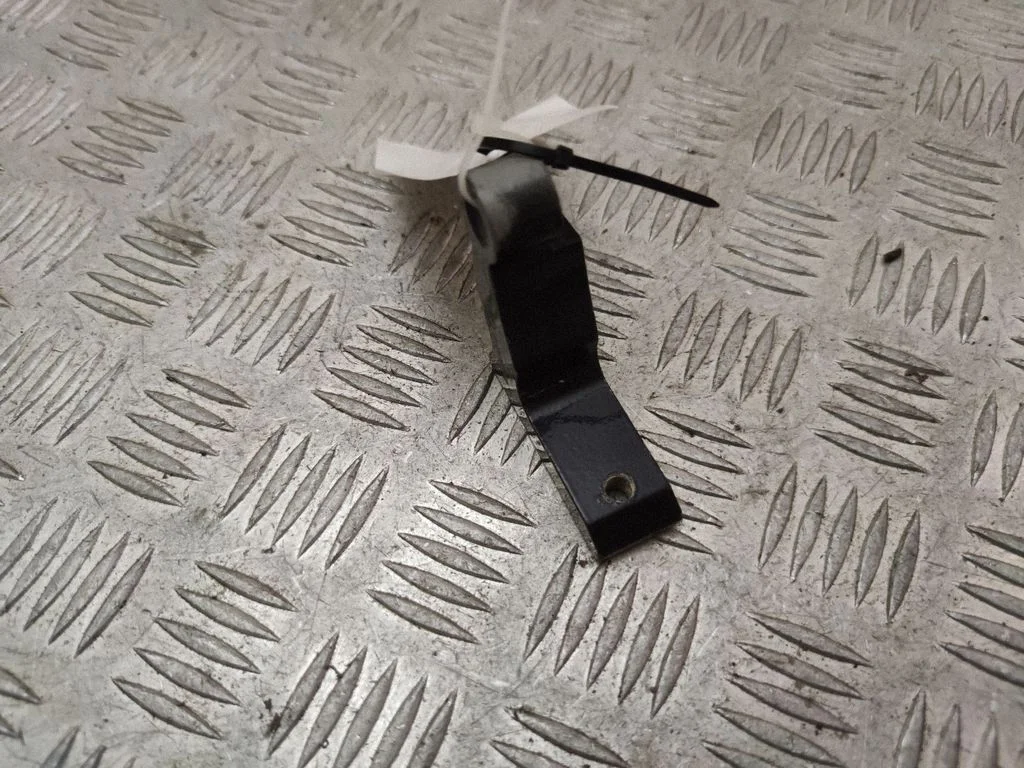 Rear door lower hinge 31424590