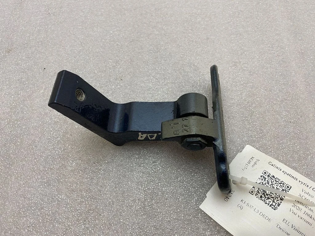 Rear door lower hinge 31424590