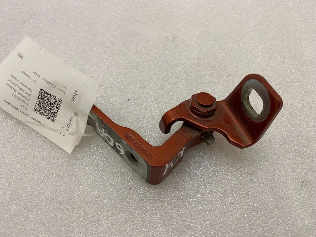 Rear door lower hinge H1BBA26810AD