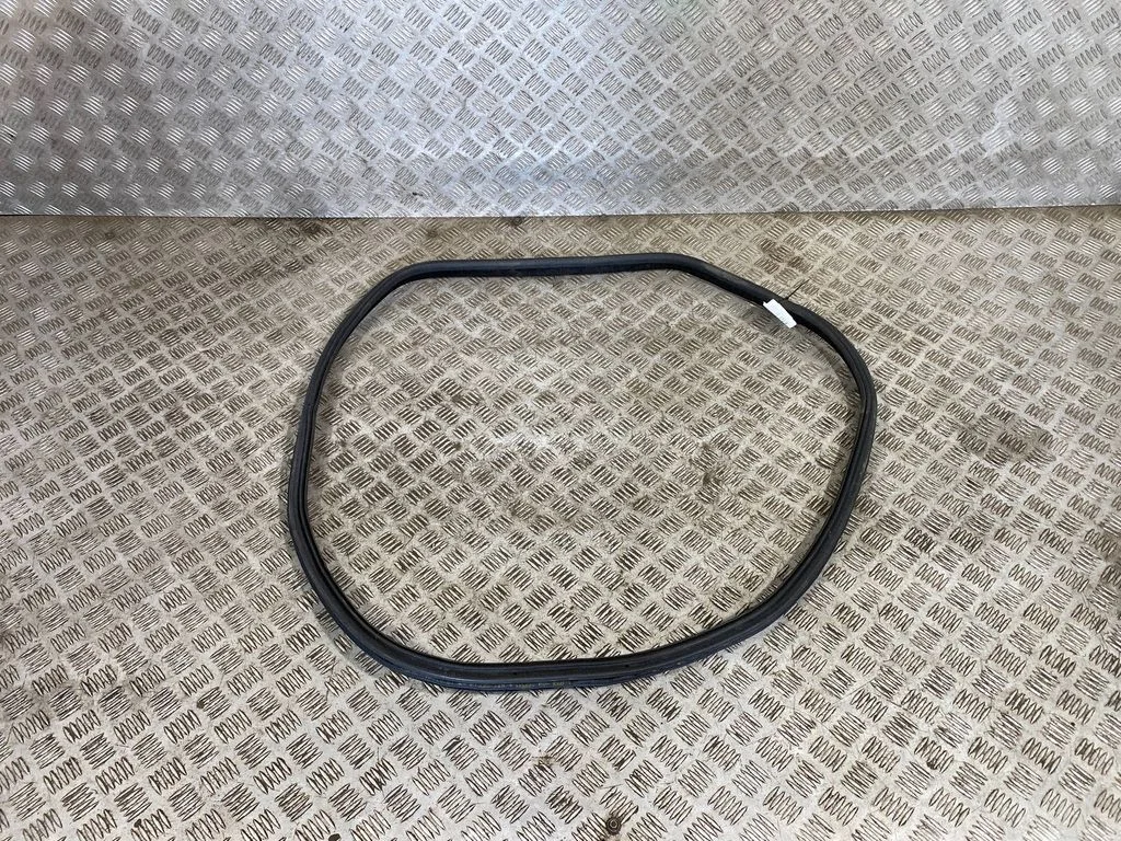 Rear door rubber seal (on body) 7401893
