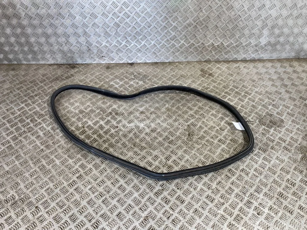 Rear door rubber seal (on body) 7401894