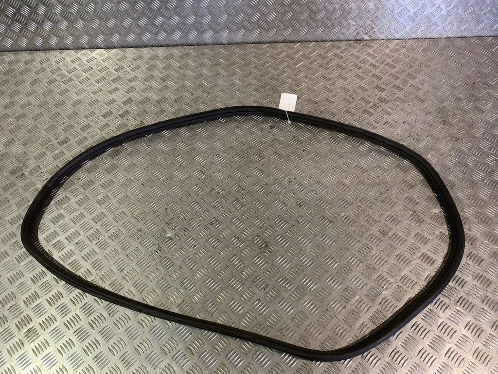 Rear door rubber seal (on body) 7258311