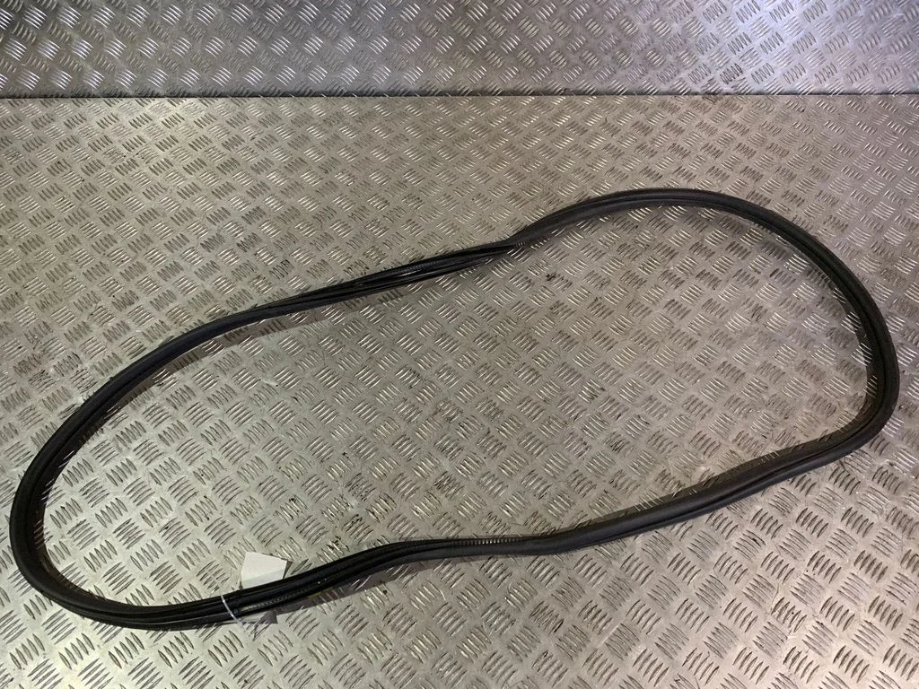 Rear door rubber seal (on body) 7258311