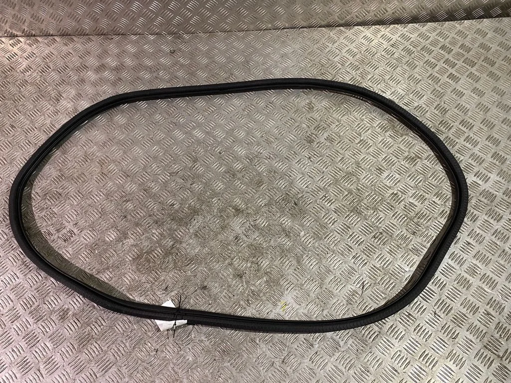 Rear door rubber seal (on body) 9811538180