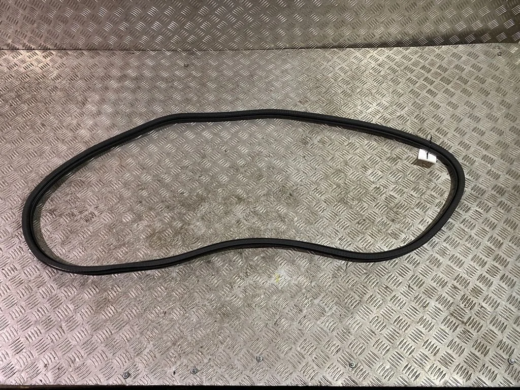Rear door rubber seal (on body) 9811538180