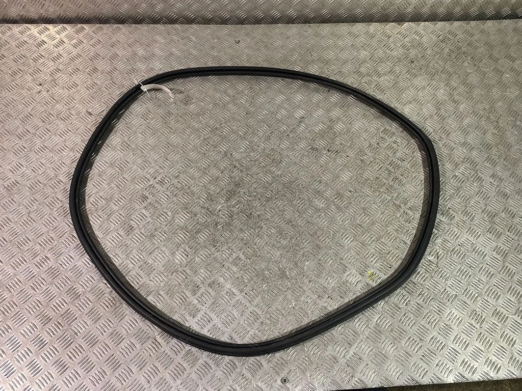 Rear door rubber seal (on body) 32245062