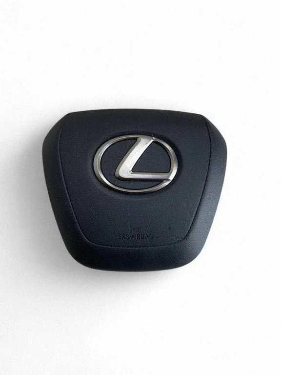 Steering wheel airbag 2D3117624AP7