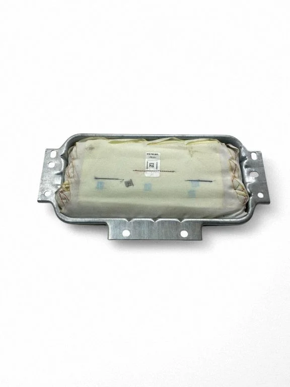 Passenger airbag 1668602402