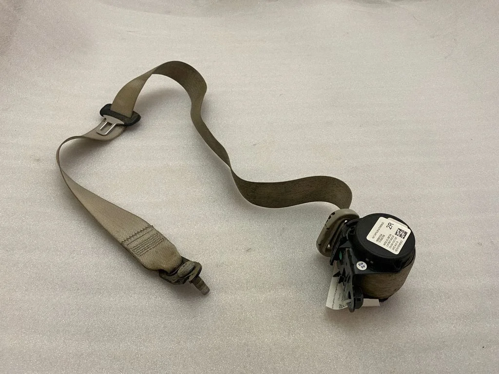 Rear seatbelt 6361234