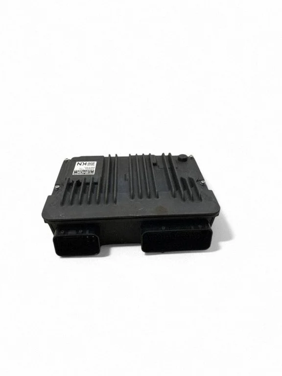 Engine control unit/module 8968048030