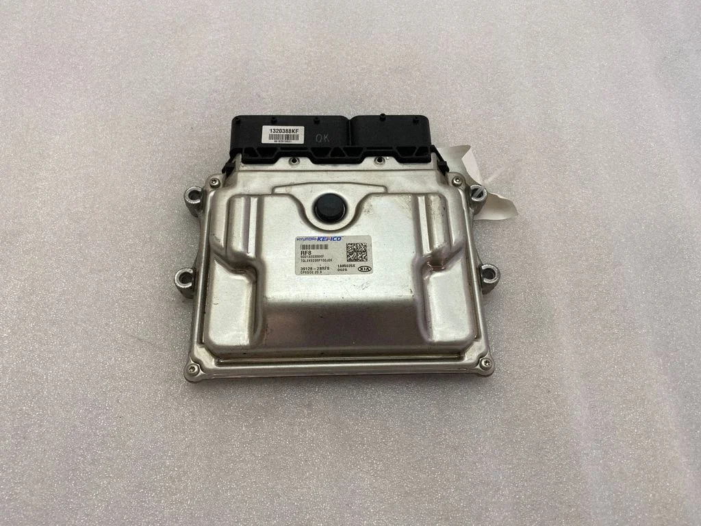 Engine control unit/module 391282BRF8