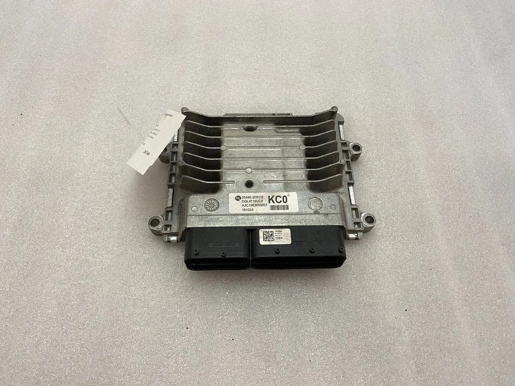 Engine control unit/module 954402DKC0