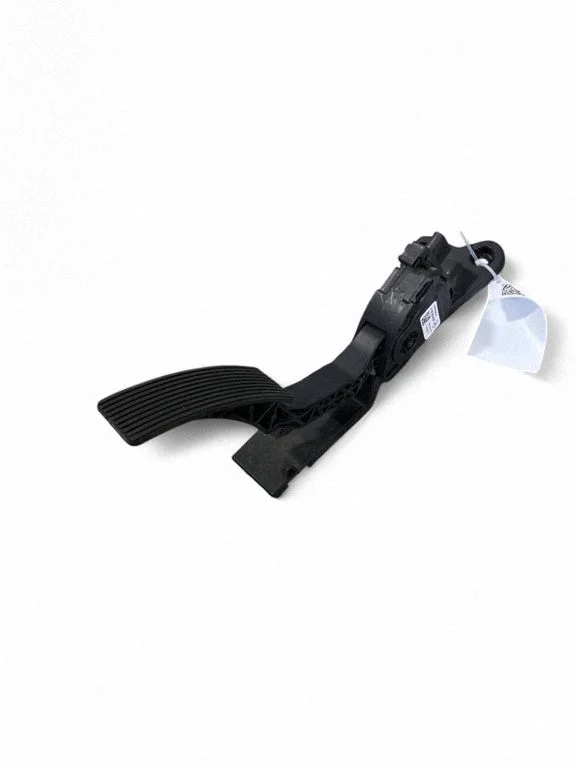 Accelerator throttle pedal A1663000004