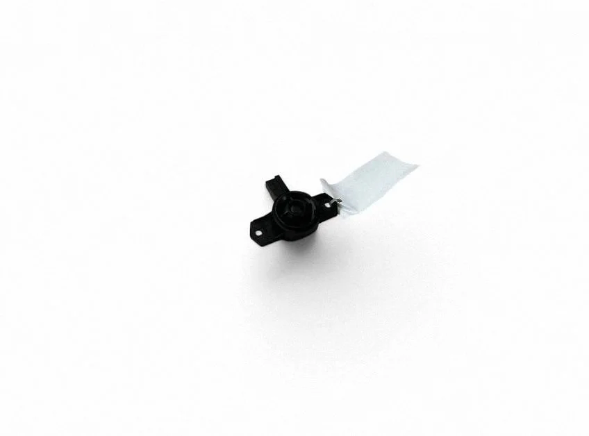 Front door speaker 31350426