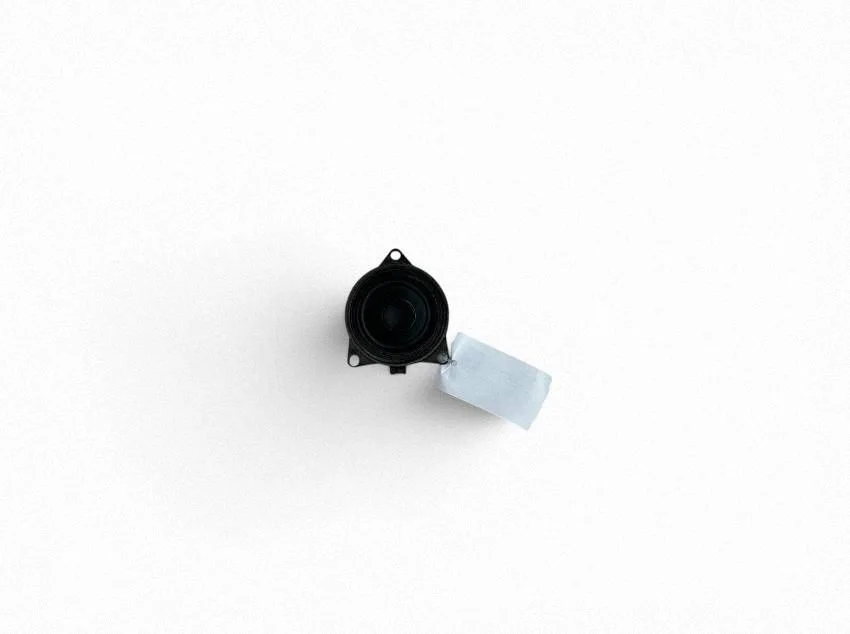 Esiukse kõlar(id) 31350427