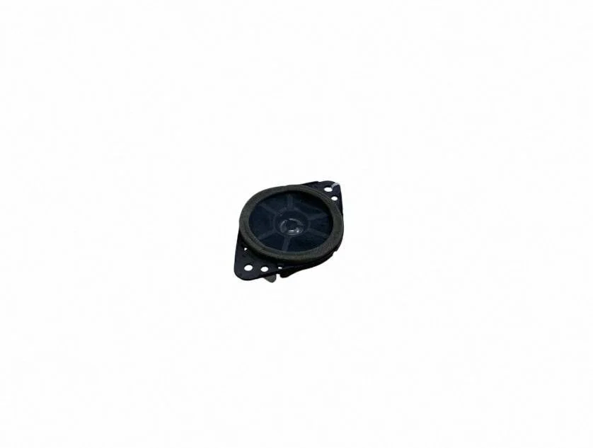Skaļrunis (-ņi) priekšējās durvīs 8616048400