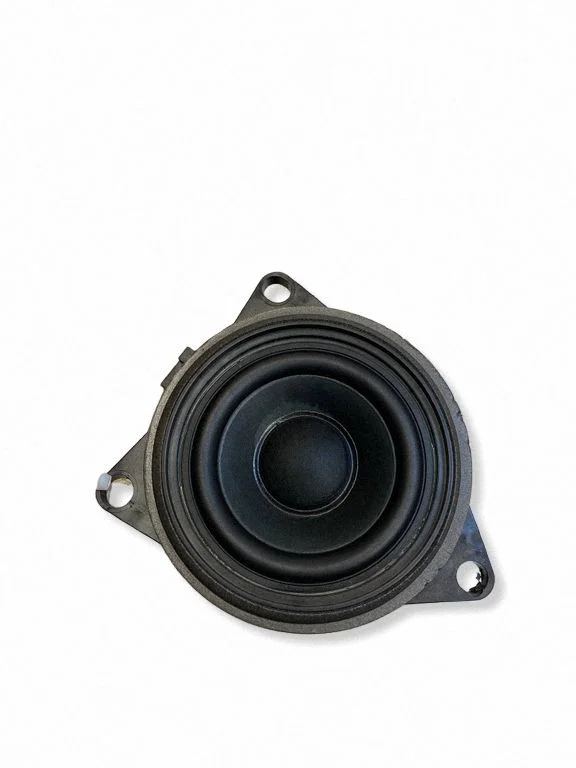 Skaļrunis (-ņi) priekšējās durvīs 31489045