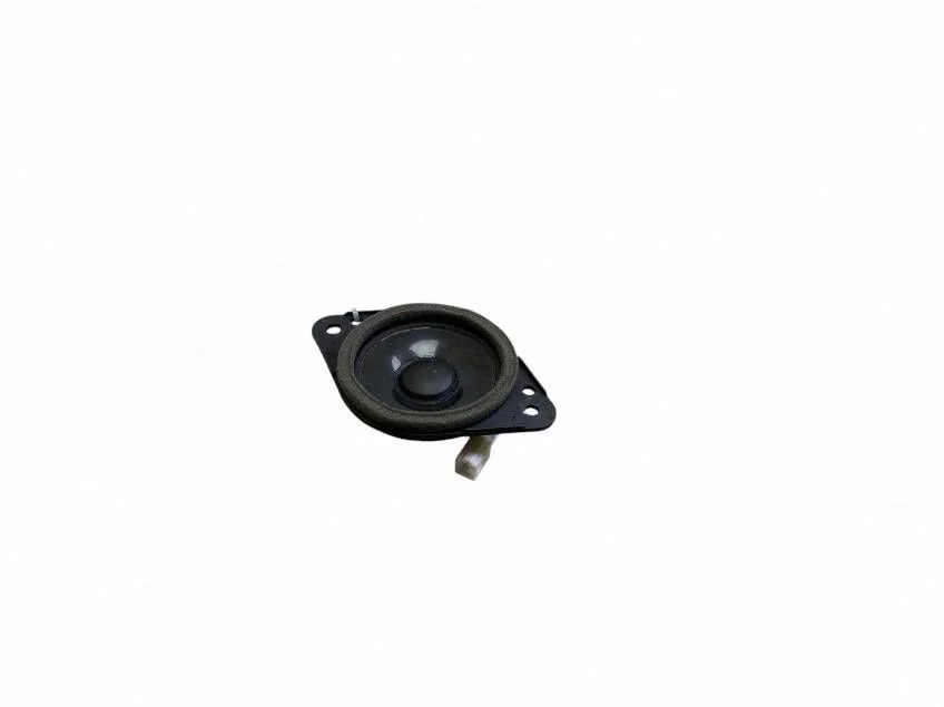Skaļrunis (-ņi) priekšējās durvīs 8616048390