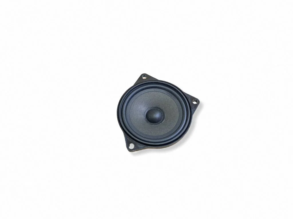 Front door speaker – BMW X5 E70 (2006-2013)