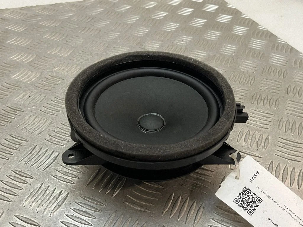 Skaļrunis (-ņi) priekšējās durvīs 31350425