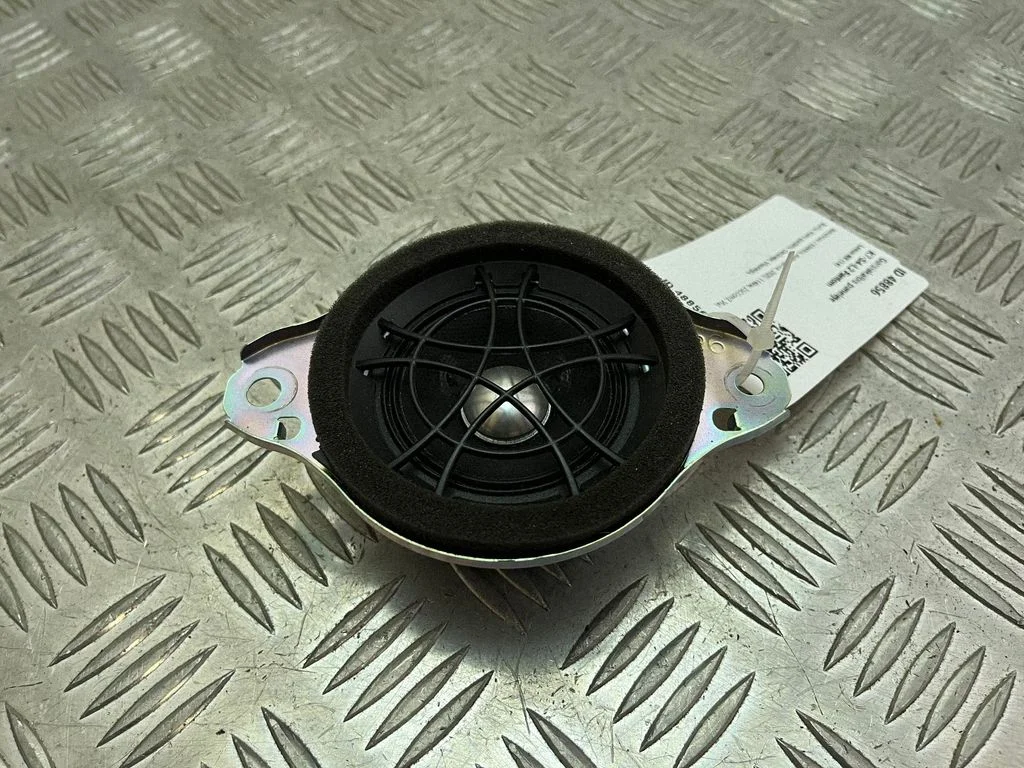 Skaļrunis panelī – Lexus NX (2014-2021)