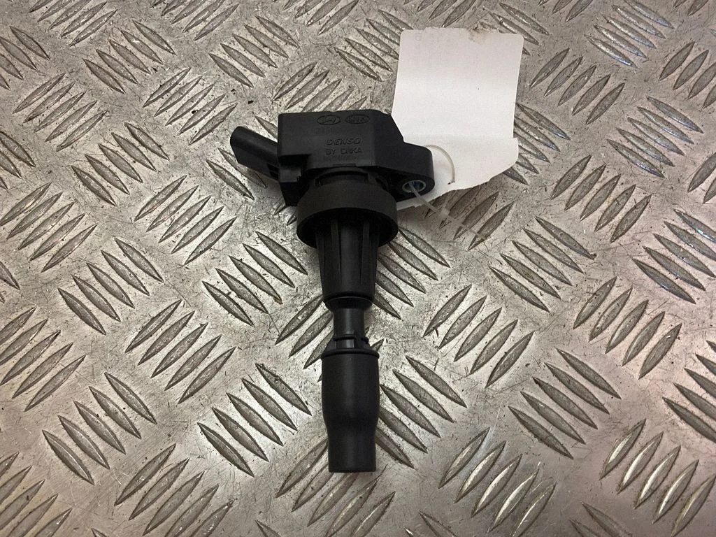 High voltage ignition coil 273012B120